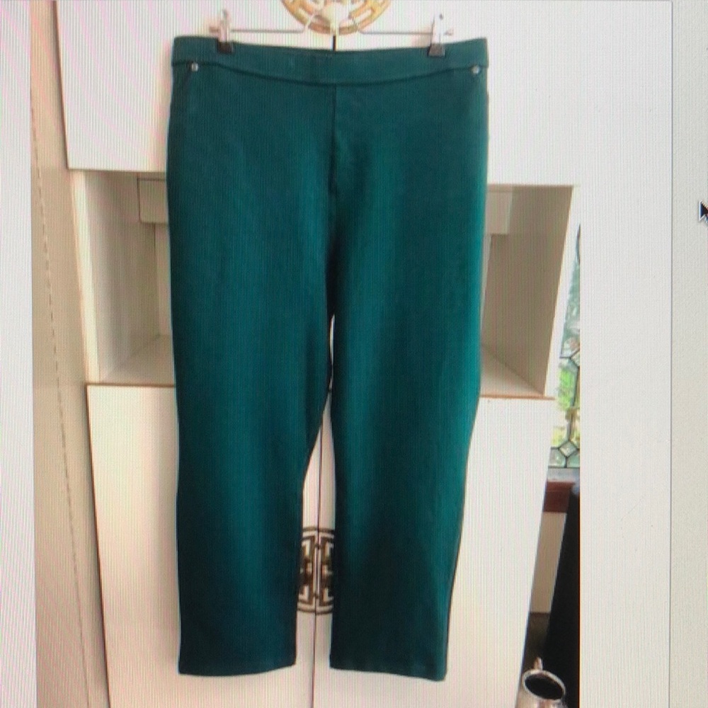 Susan Graver Teal pull on stretch heavy faux jean knit pants 3X